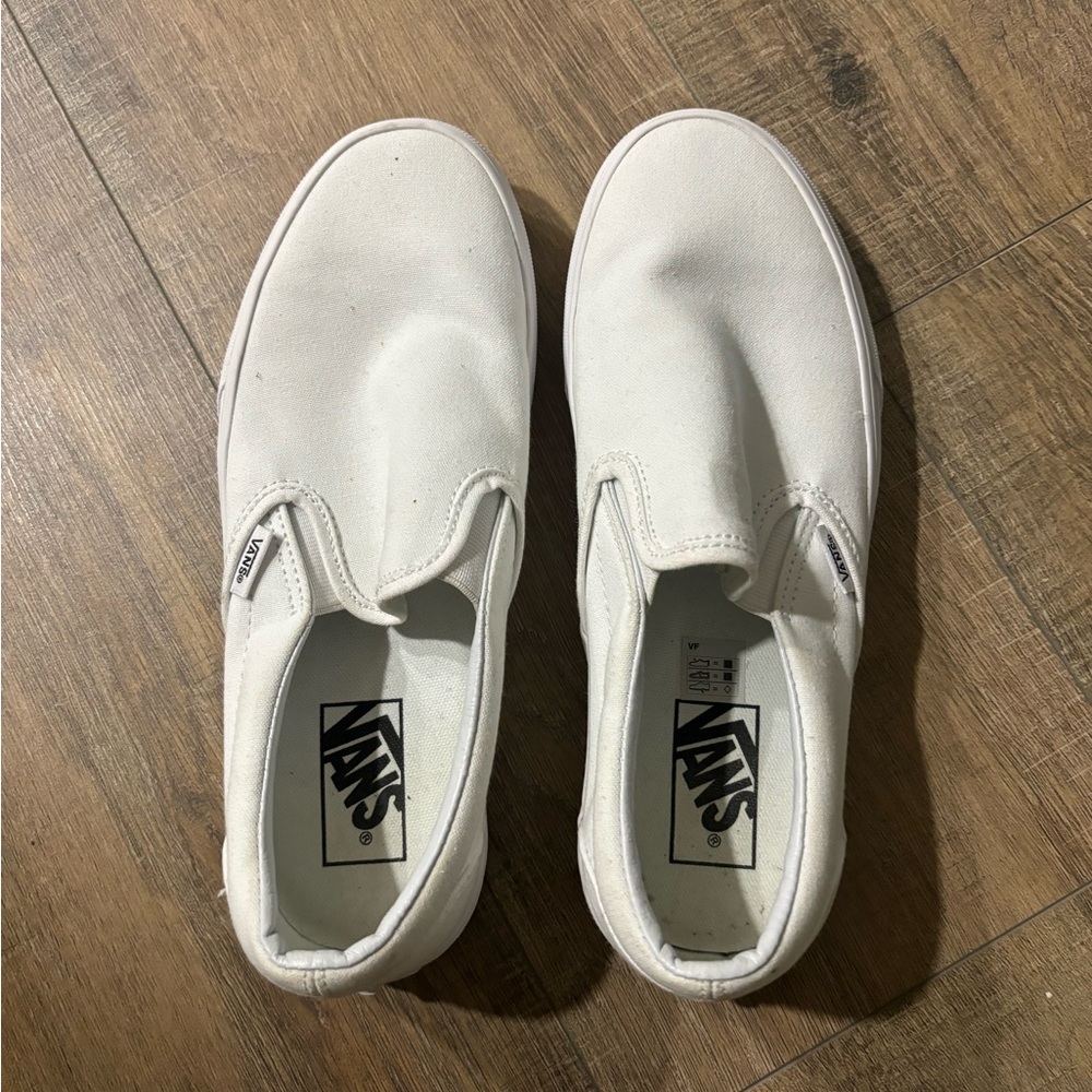 Vans Skate Slip On Shoes